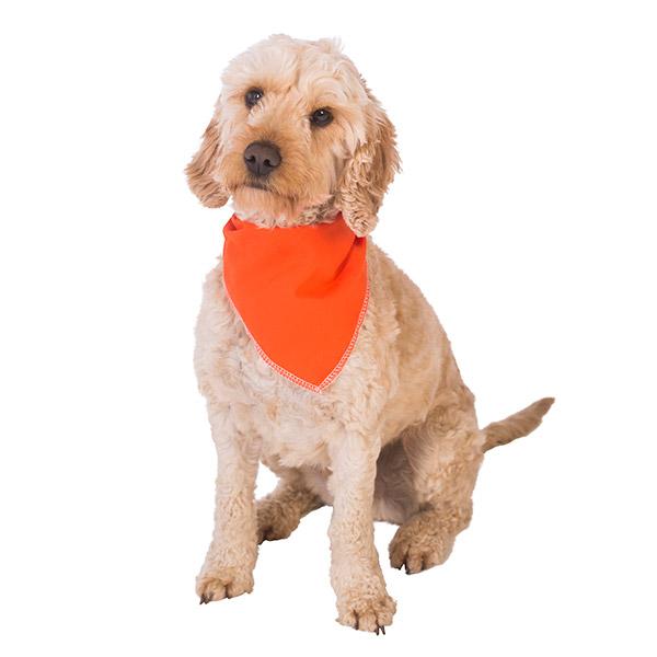 Personalised Dog Bandanas in a Choice of Colours, on The Hive NZ