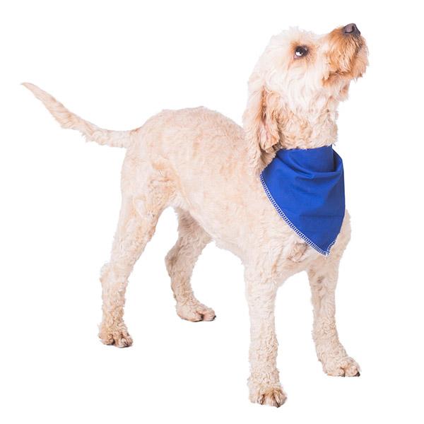 Customised dog bandanas – The Prancing Dog