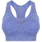 Women's Seamless Sports Bra