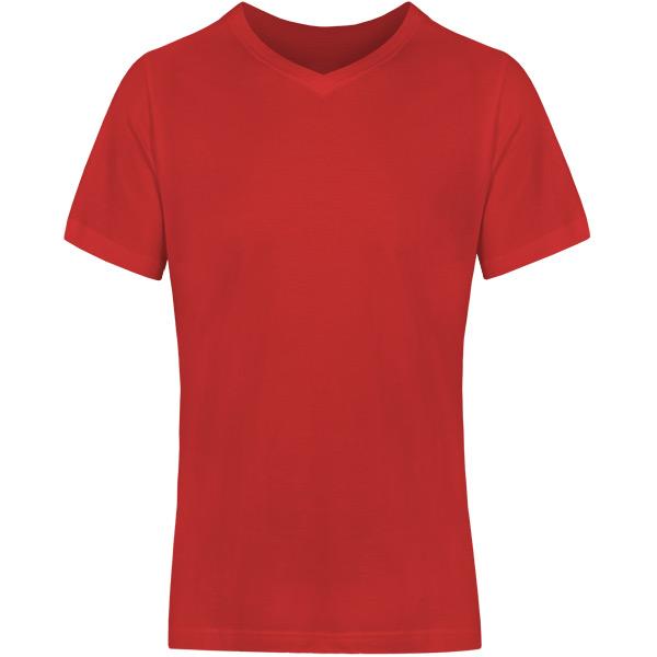 Men's V Neck T-Shirt